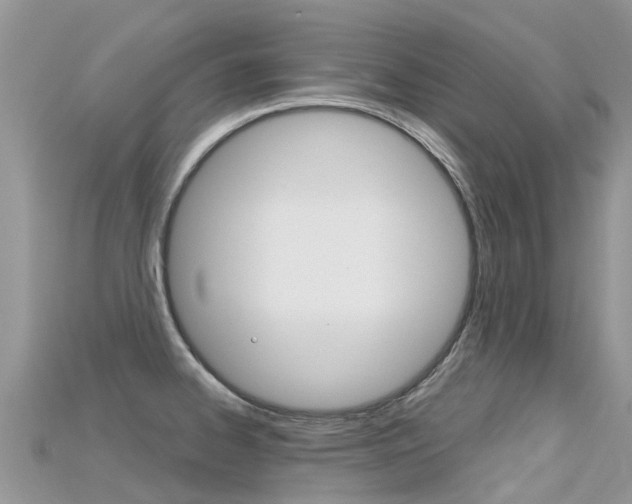 X0000115691334200911120959