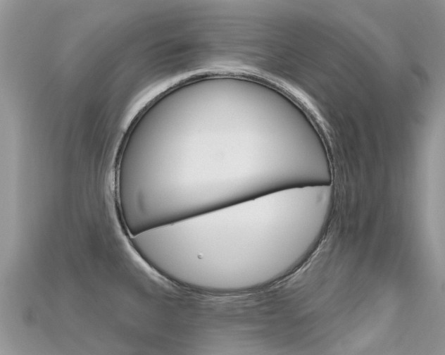 X0000115691335200911120959