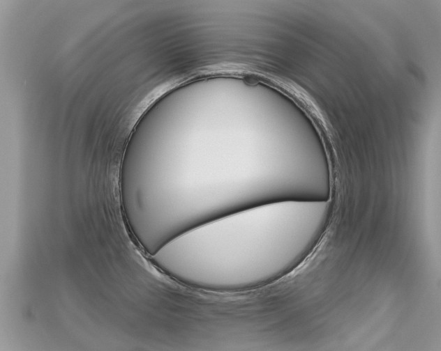 X0000115691337200911120959