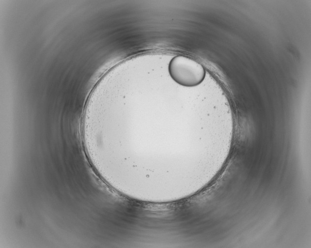 X0000115691338200911120959