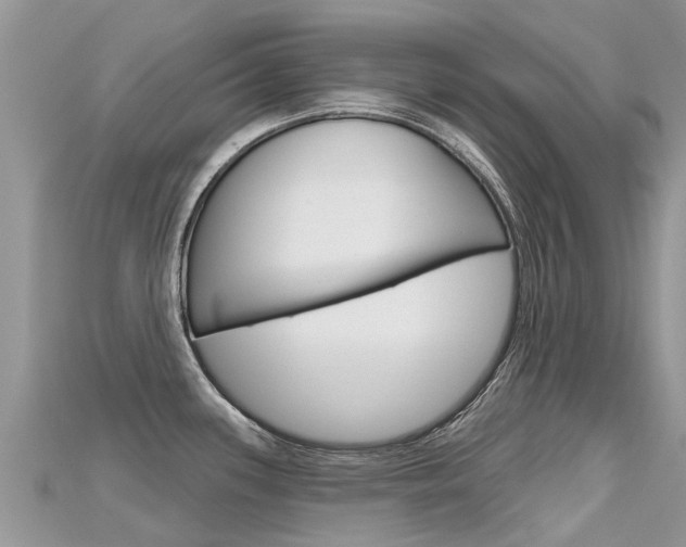 X0000115691339200911120959