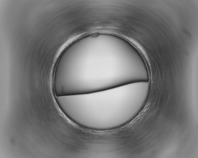 X0000115691341200911121000