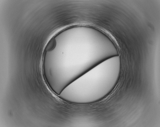 X0000115691343200911121000