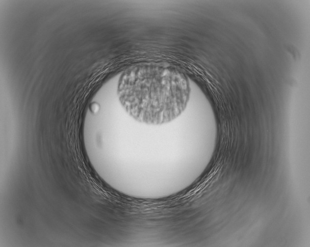 X0000115691345200911120959