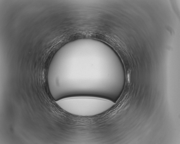 X0000115691347200911120959