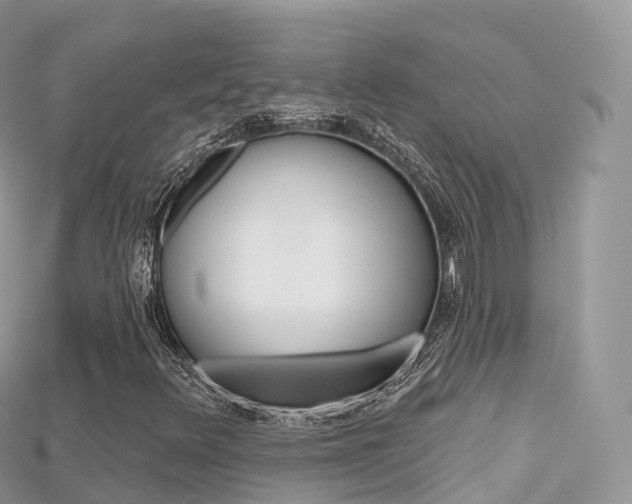X0000115691348200911120959