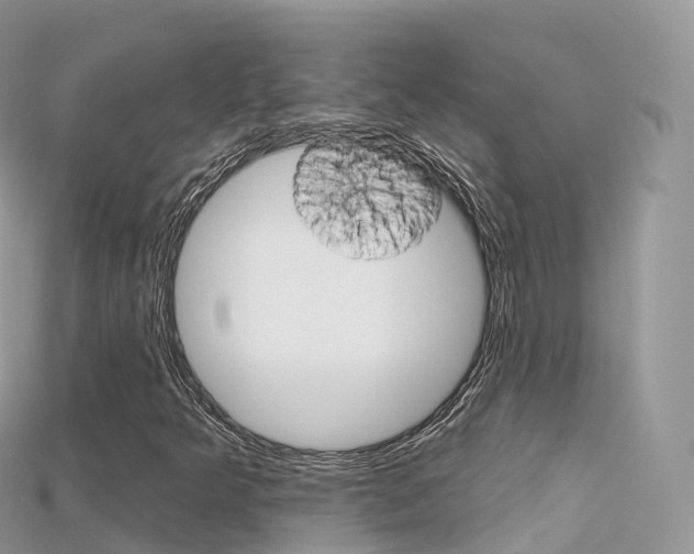 X0000115691349200911120959
