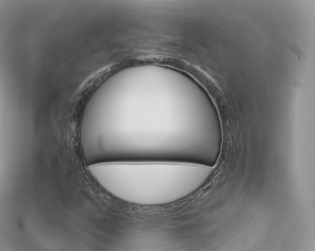 X0000115691351200911120959