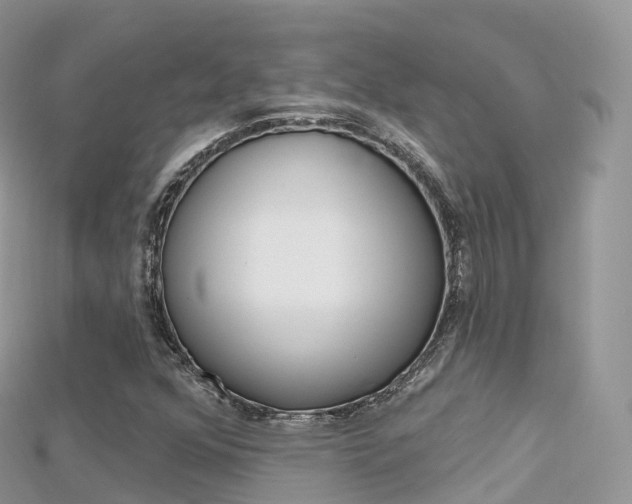 X0000115691352200911120959