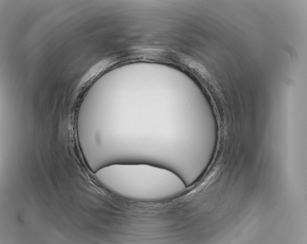 X0000115691354200911120959