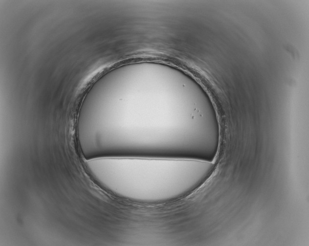 X0000115691355200911120959