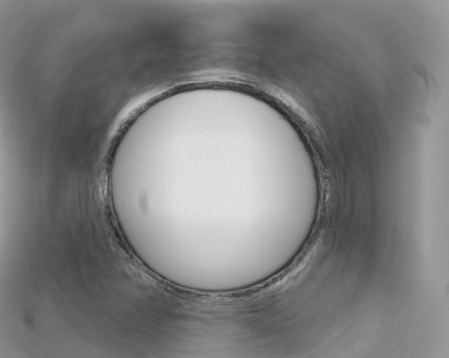 X0000115691358200911120959