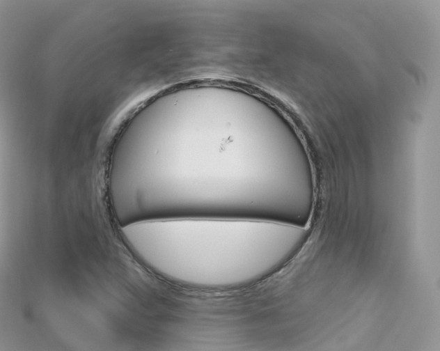 X0000115691359200911120959
