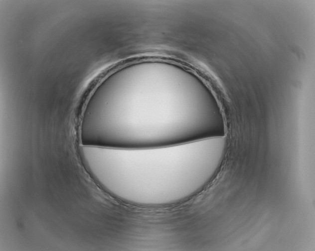 X0000115691360200911120959