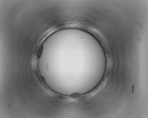 X0000115691361200911120959