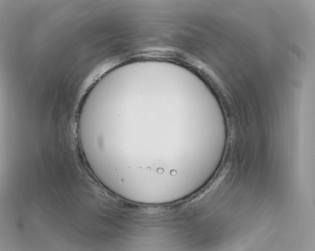 X0000115691362200911120959
