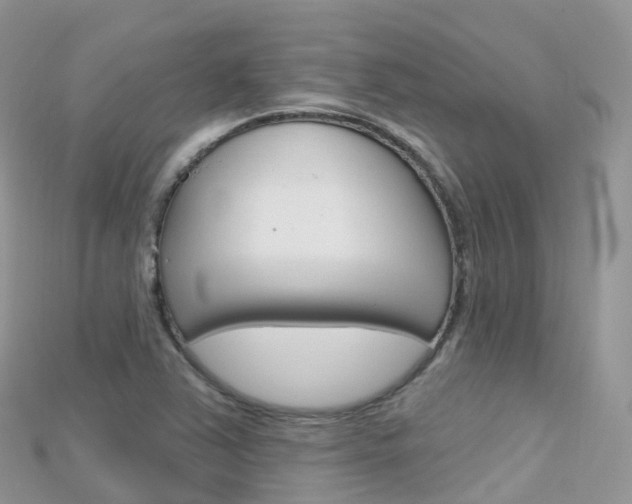X0000115691363200911120959