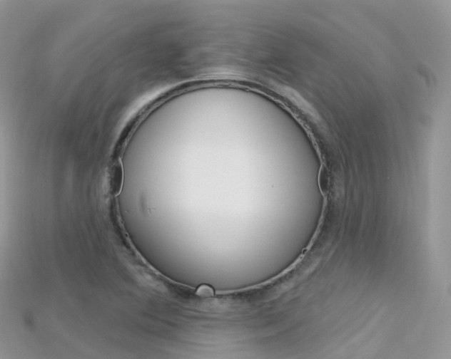X0000115691364200911120959