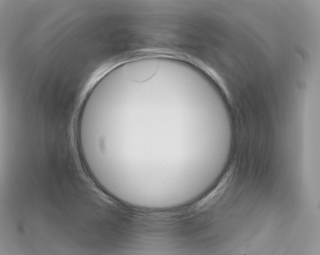 X0000115691365200911120959