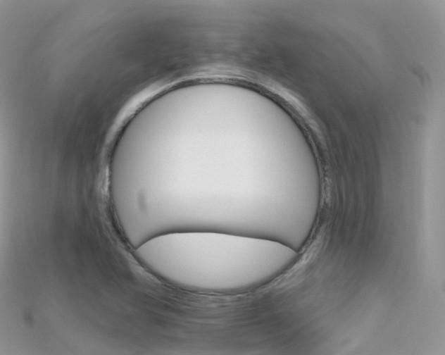 X0000115691366200911120959