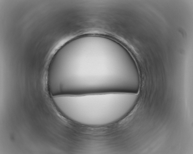 X0000115691367200911120959