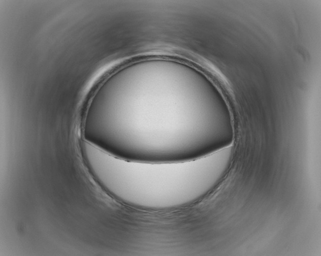 X0000115691368200911120959