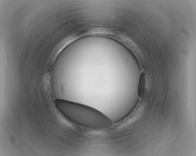 X0000115691369200911120959