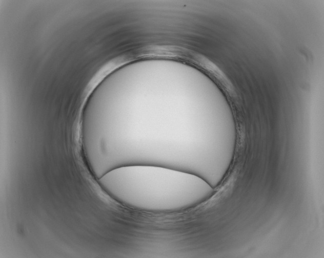 X0000115691370200911120959