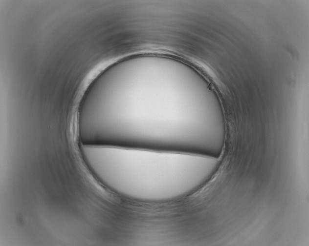 X0000115691371200911120959