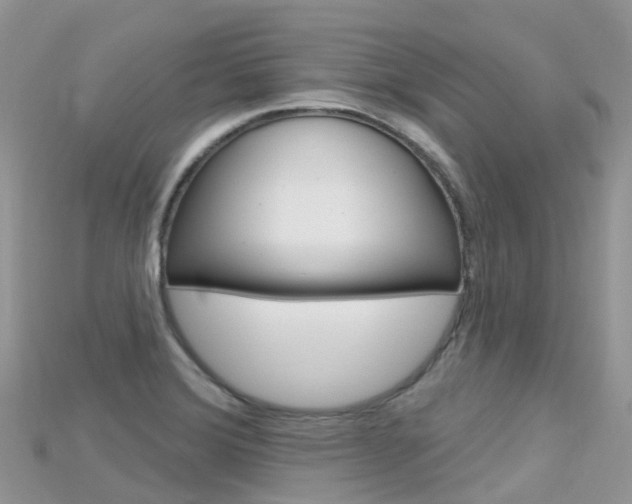 X0000115691372200911120959