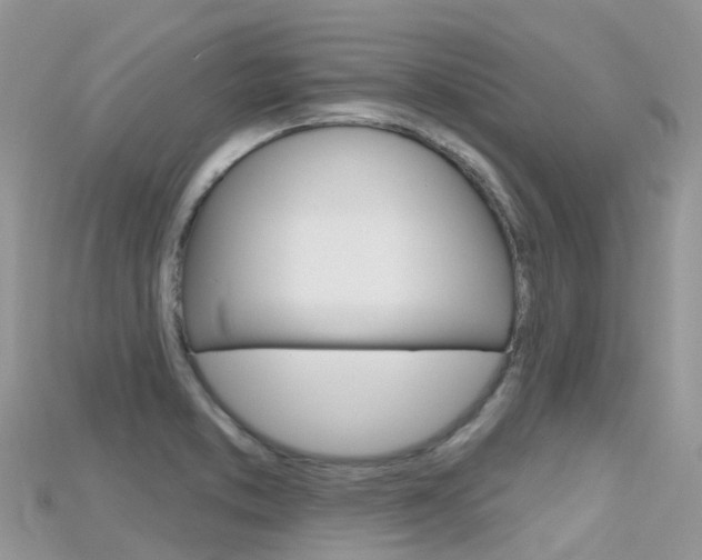 X0000115691373200911120959