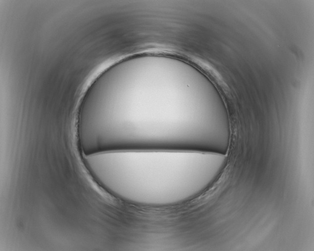 X0000115691375200911120959