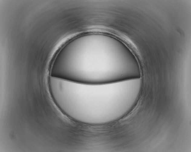 X0000115691376200911120959