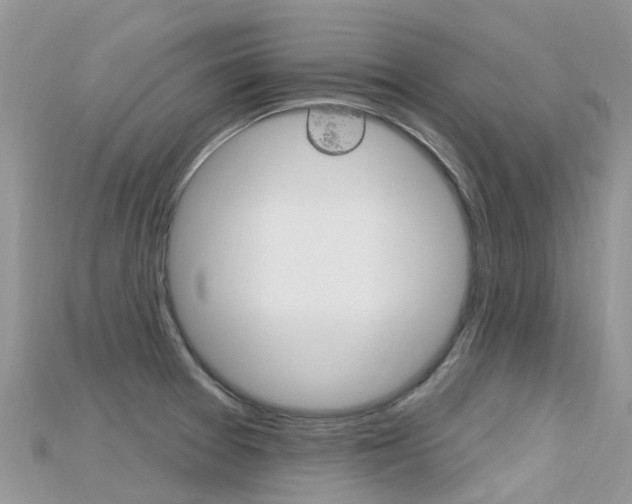 X0000115691377200911120959