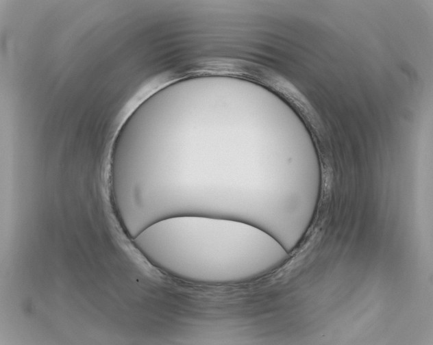 X0000115691378200911120959