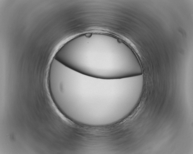 X0000115691379200911120958