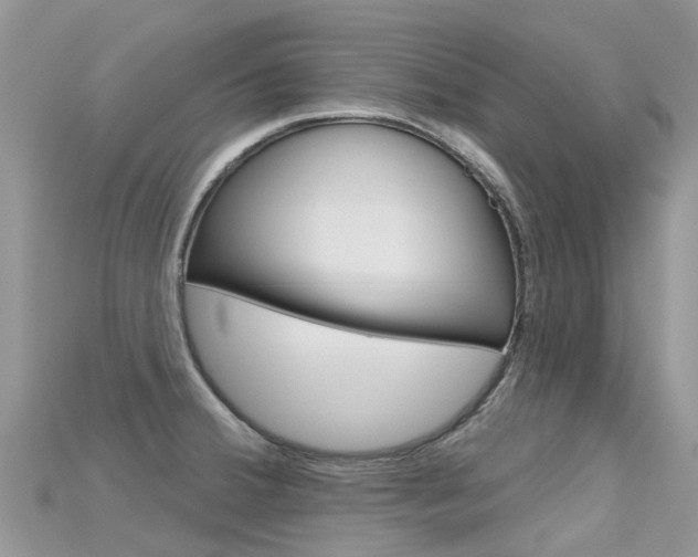 X0000115691380200911120958