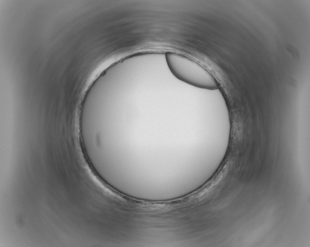 X0000115691382200911120958