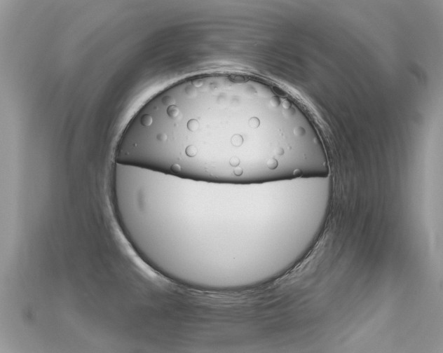 X0000115691383200911120958