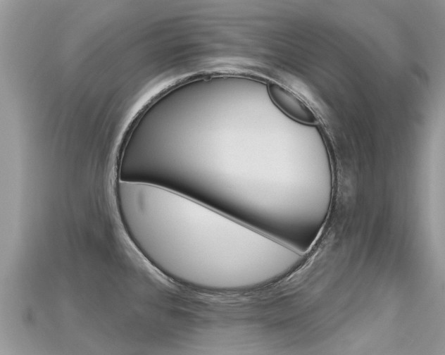 X0000115691384200911120958
