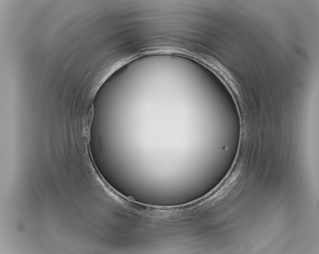 X0000115691385200911120958