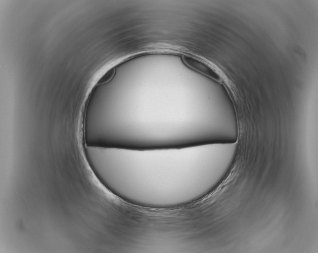 X0000115691387200911120958