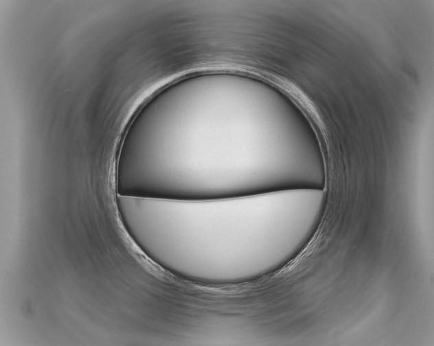 X0000115691388200911120958