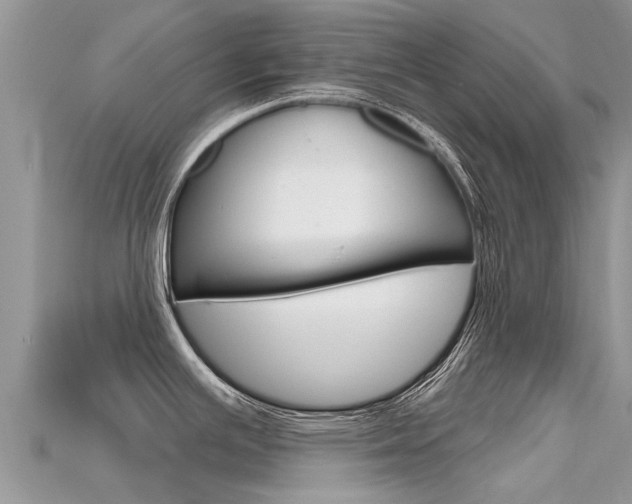 X0000115691391200911120958