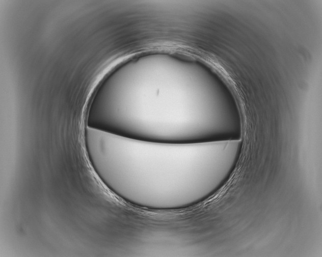 X0000115691392200911120958