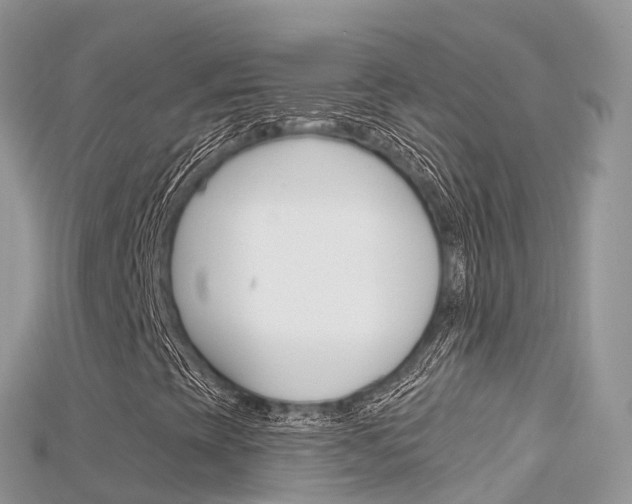 X0000115691393200911120958