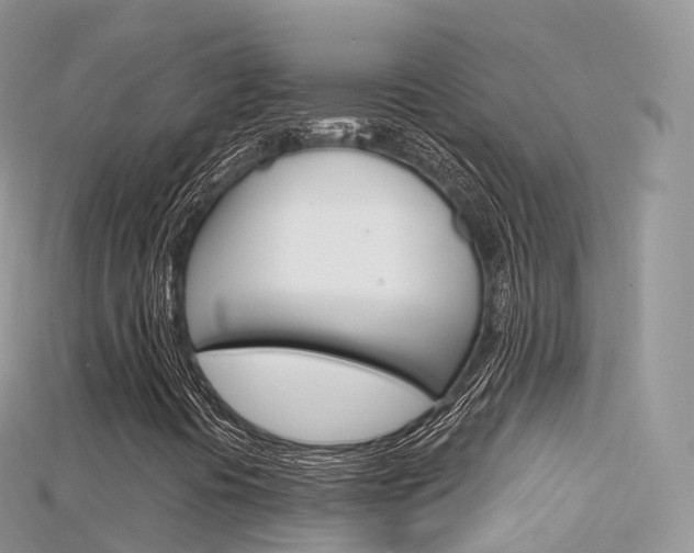 X0000115691394200911120958