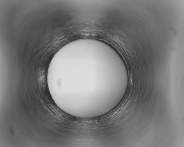 X0000115691396200911120958