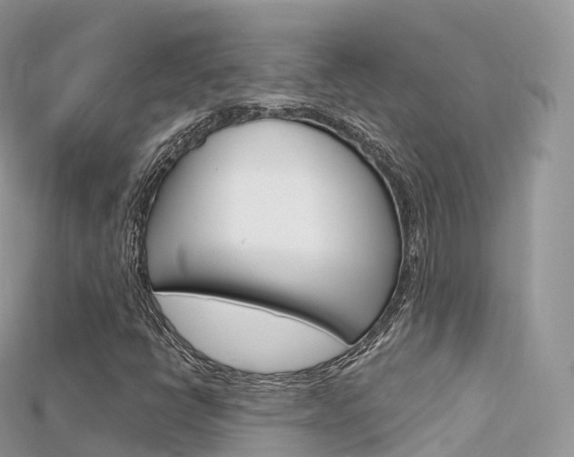 X0000115691398200911120958