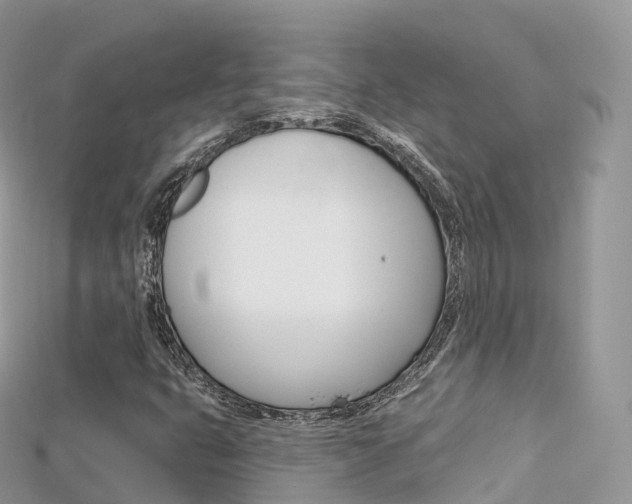 X0000115691399200911120958